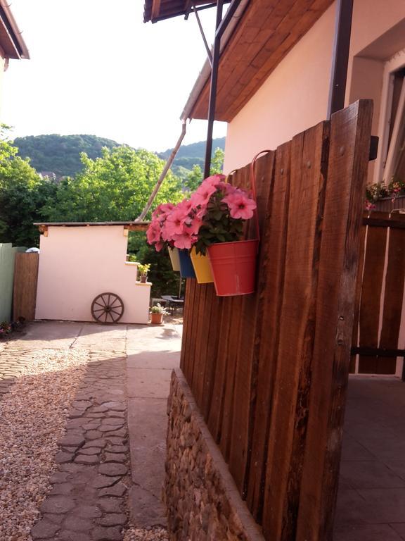 Villa Kaland Vendeghaz Sátoraljaújhely Exterior foto
